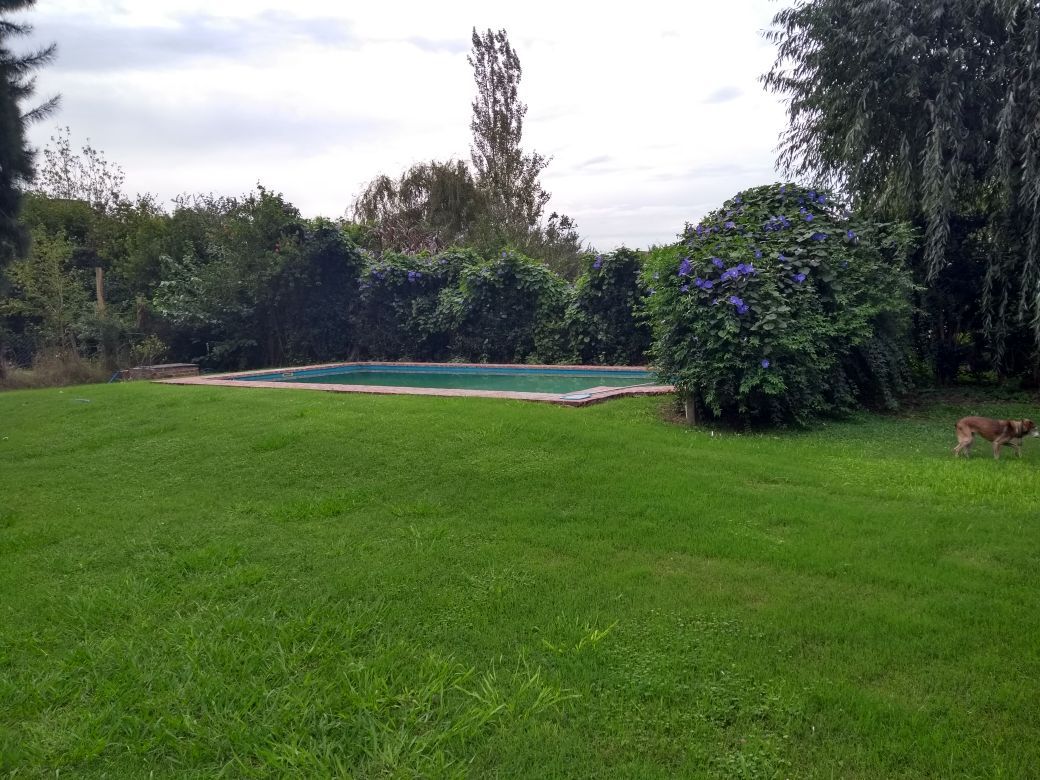 A landscaped garden area is featured, showcasing a rectangular pool surrounded by green grass. Various bushes, including a flowering vine, add natural beauty to the scene. The sky appears overcast, creating a calm atmosphere in this outdoor space.