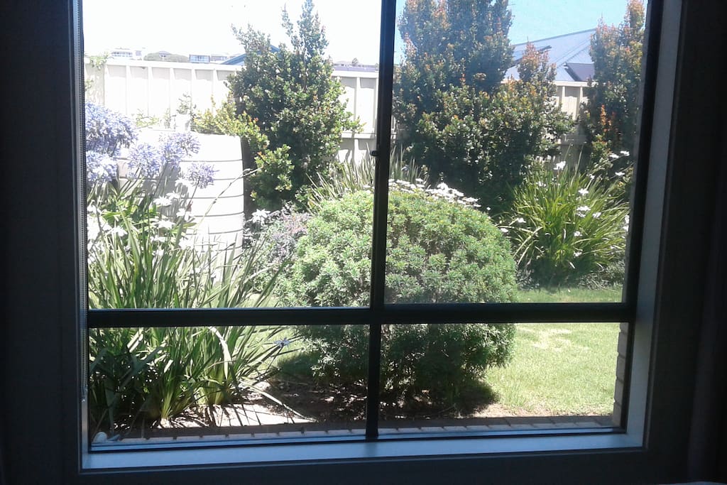 The view from your window.