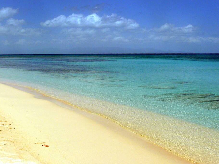 plage de bois Jolan Sainte-Anne