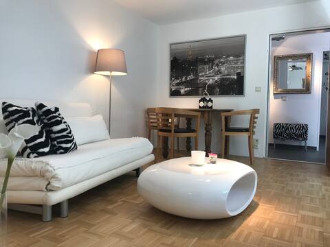 Modern apartment with terrace