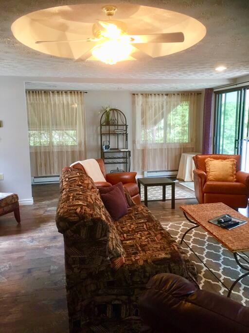 Living room with sofa bed