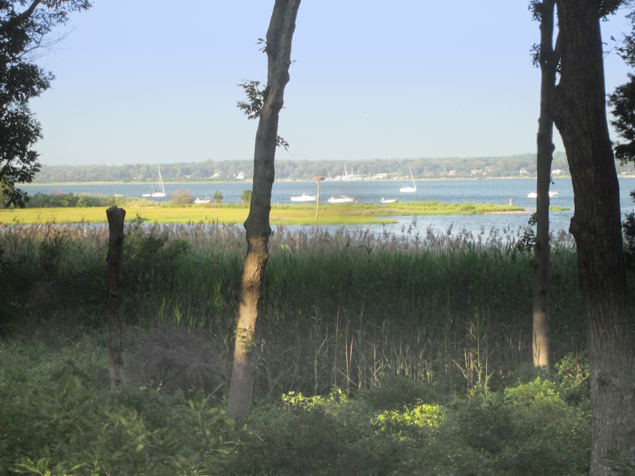 View from Community Association Park - 3 Mile Harbor & Hands Creek