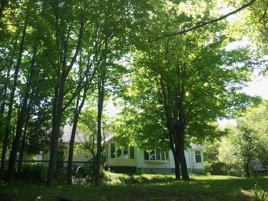 Room For Rent Carleton Place Room For Rent Carleton Place