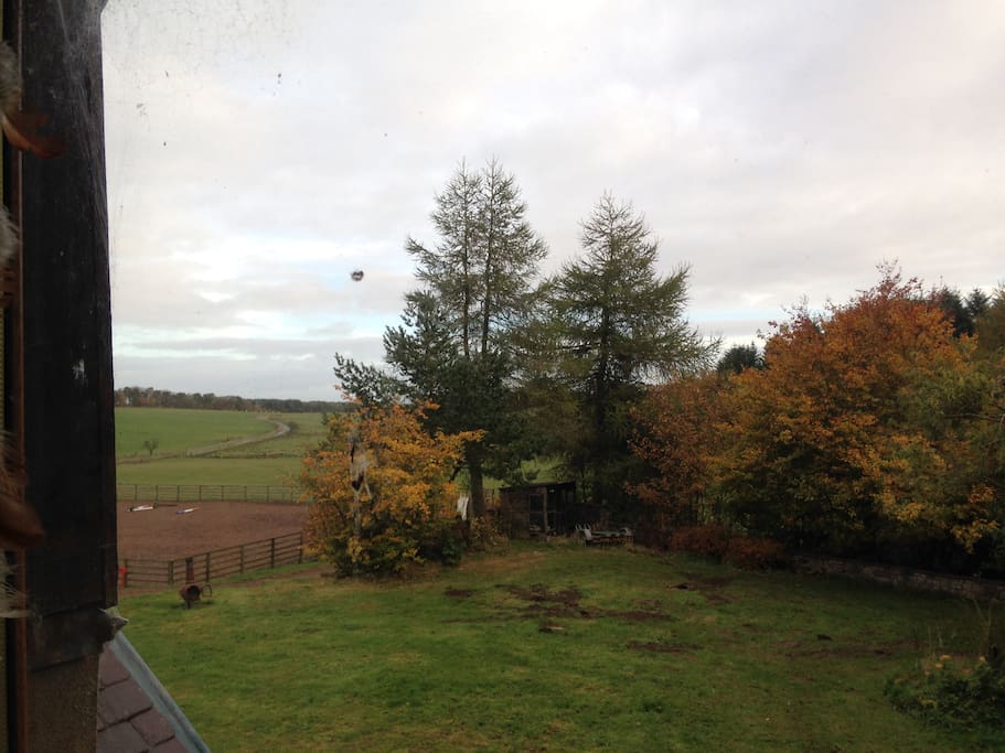 View from Bedroom Window.