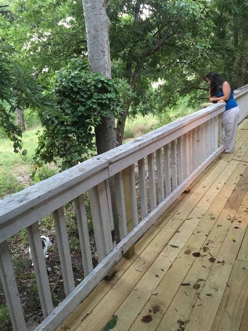 Back deck