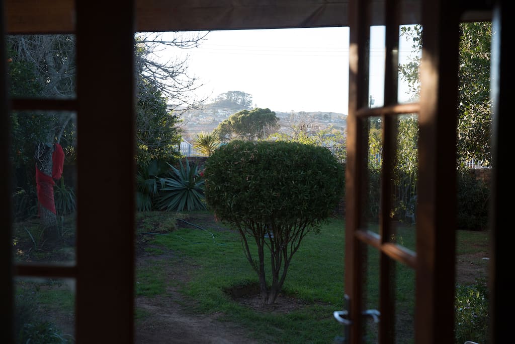 View from the room