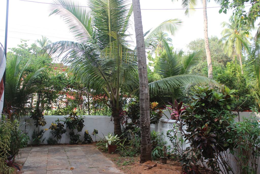 Garden Area