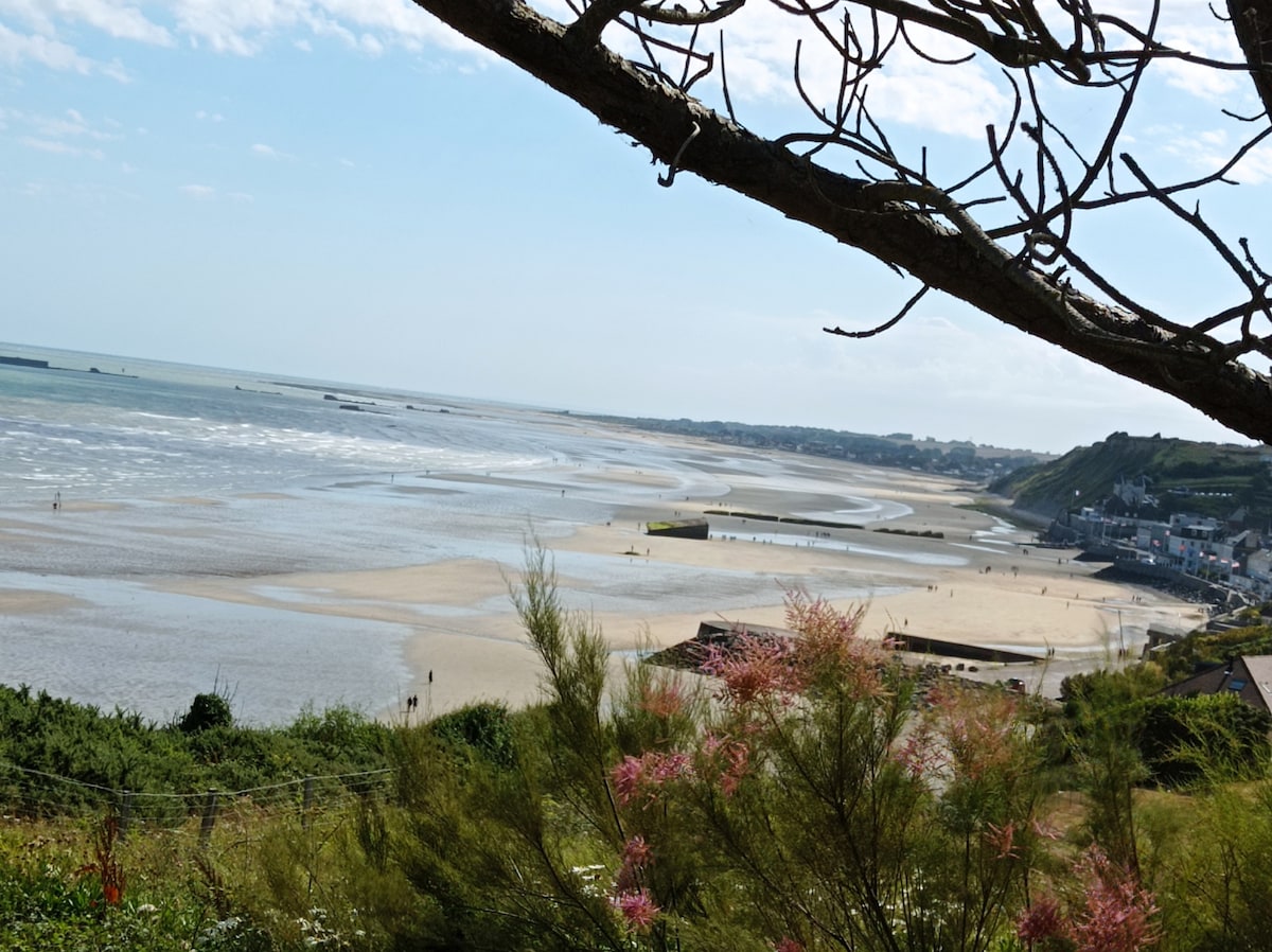 A serene beach view is captured, showcasing expansive stretches of sand and water under a bright sky. Gentle waves meet the shore, with people strolling along the coastline in the distance. Coastal greenery and pink flowering plants frame the scene, enhancing the natural beauty.