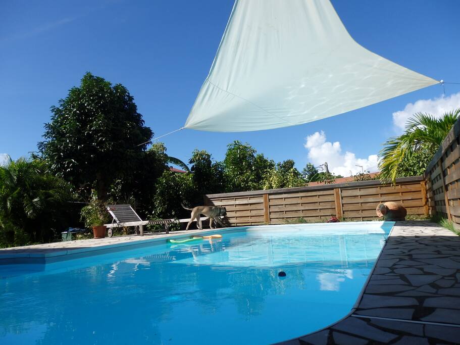 la piscine