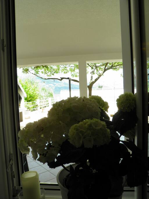 View from window