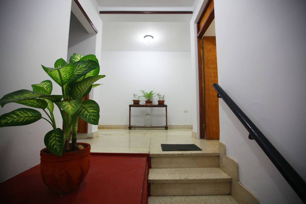 Hall, entrada a las Habitaciones.
