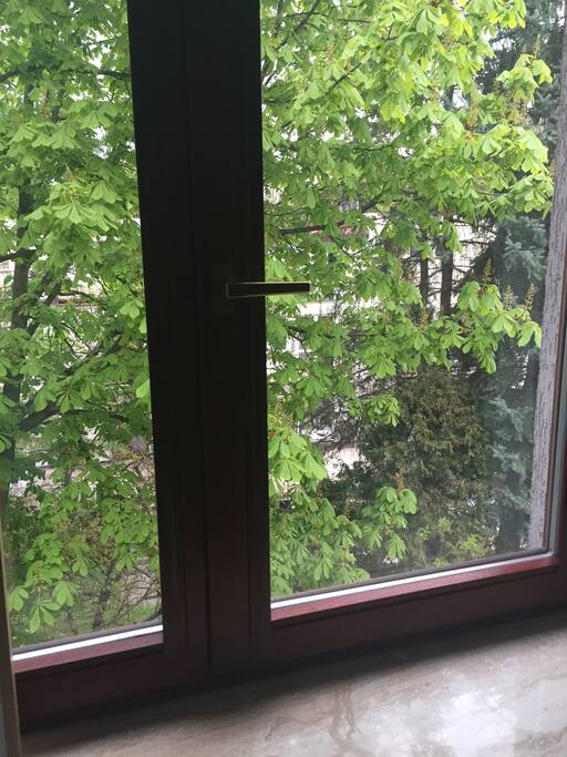 Vue de la chambre