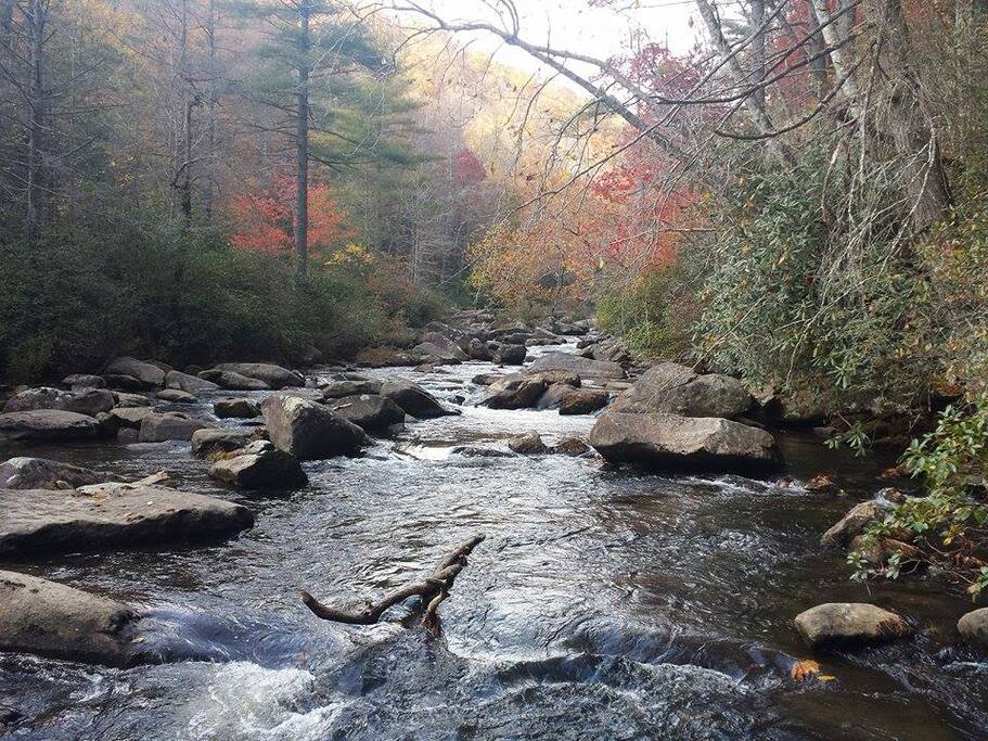 The Pigeon River in front the resort.