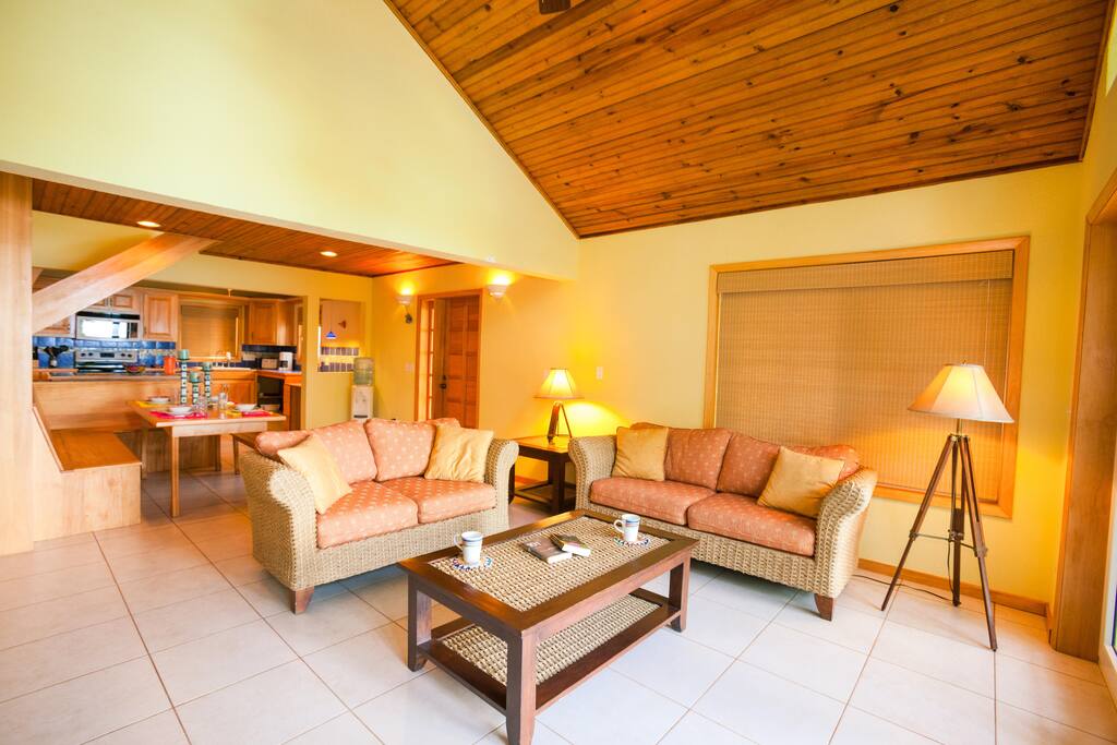 Open concept living from the