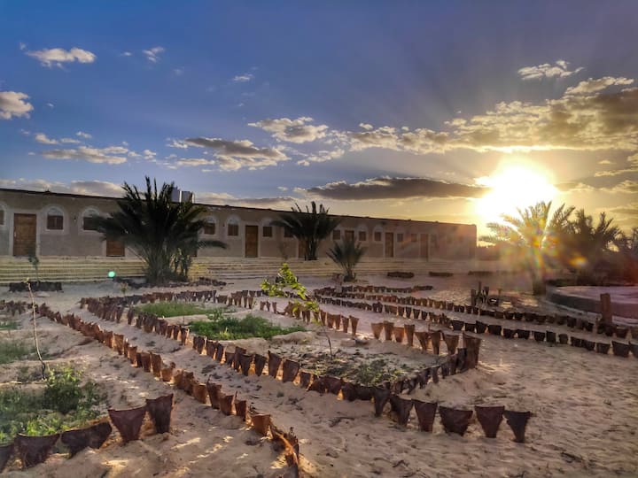 Siwa Oasis Holiday Rentals & Homes Matrouh Governorate, Egypt Airbnb