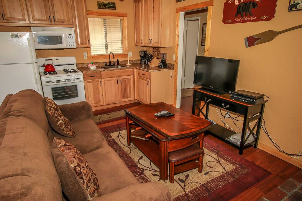 Comfy Living Room Furnishings- Full Size Sleeper Sofa
