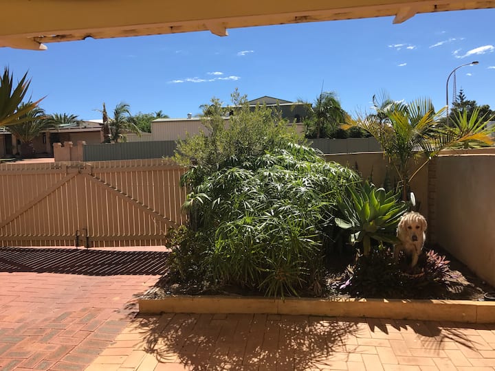 7 Best Pet & DogFriendly In Kalbarri, Australia
