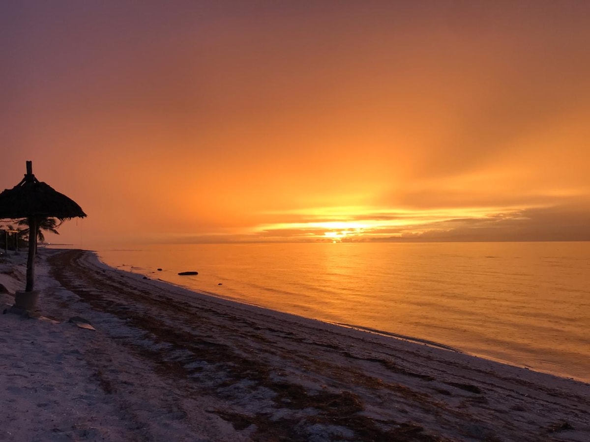 A tranquil beach scene is captured at sunset, showcasing a gradient of warm orange and yellow hues reflecting on calm waters. A palapa is visible to the left, providing shade. The shoreline is lined with soft, white sand, inviting relaxation and contemplation.