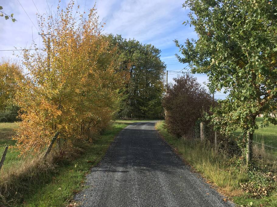 chemin vers la maison