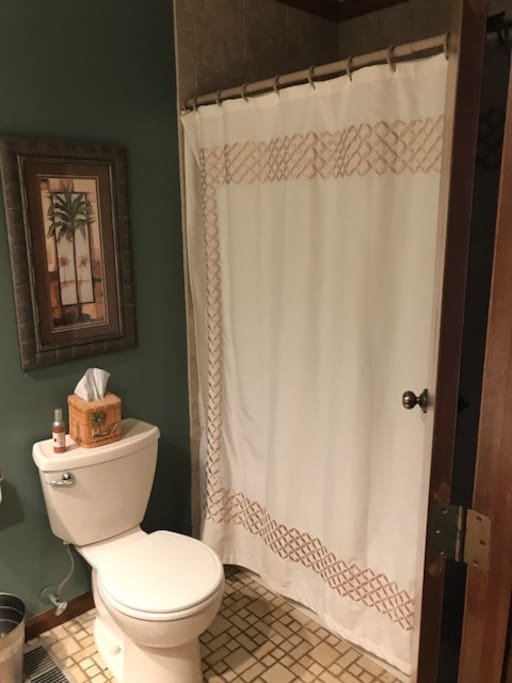 Hall full bath for 3rd bedroom
