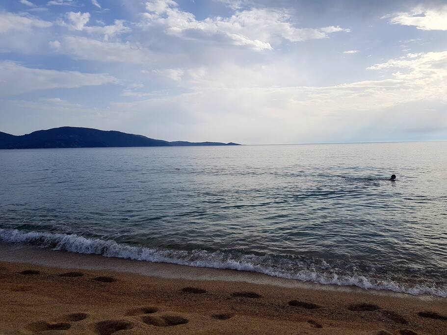 Plage La Tour Olmeto 19HOO