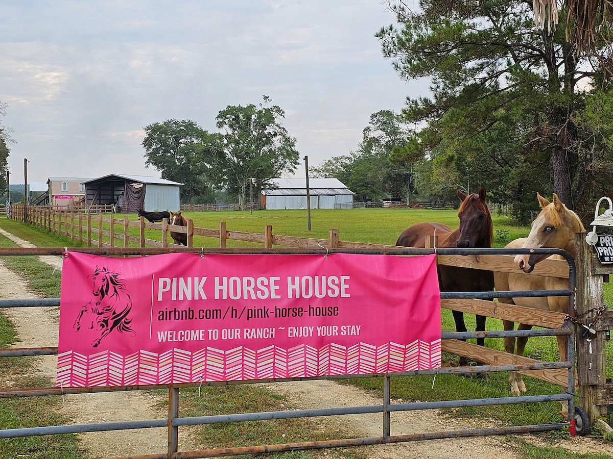 Pink Horse House* Horse Ranch, Quiet, Views, Wi-Fi - Farm stays for Rent in  Geneva, Alabama, United States - Airbnb