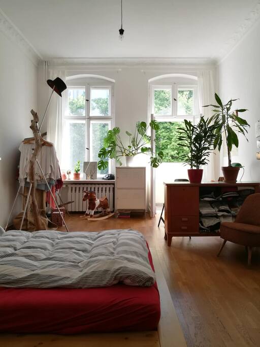 desk to work | good wifi connection | plants and trees