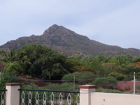 Serene Abode - Waking to The Mountain's Grace