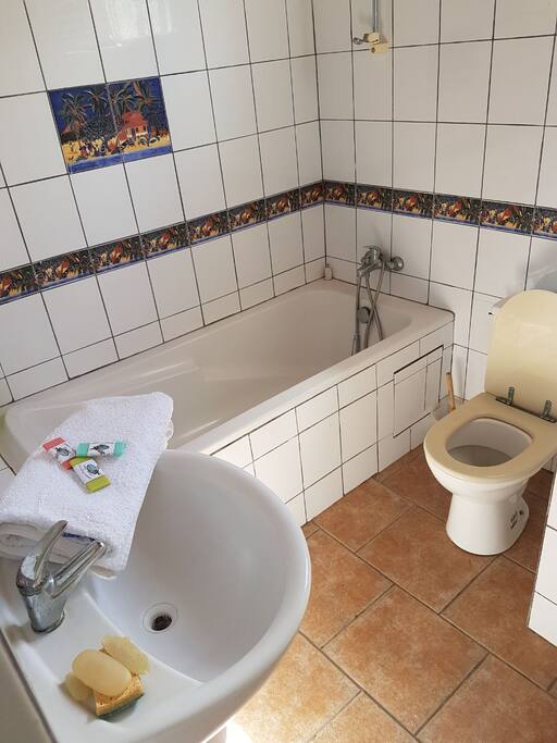 Salle de bain fonctionnelle. Baignoire et douche.
