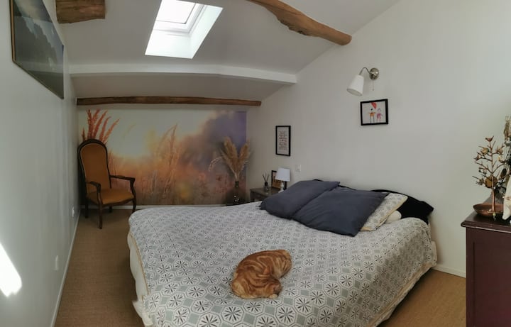 La habitación de los padres. Este es nuestro gato Toulouse, que se queda en casa durante los alquileres. 