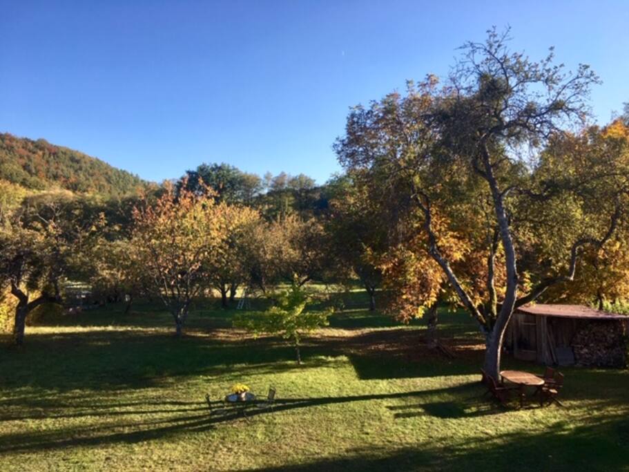 Blick vom Balkon im Herbst