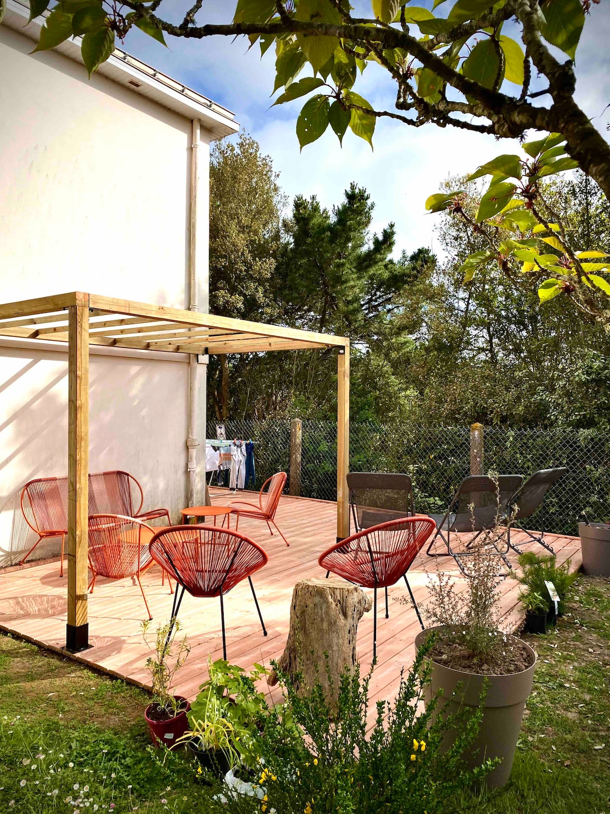 A wooden terrace features a pergola and is surrounded by a grassy area with potted plants. Four stylish red chairs and two gray lounge chairs invite relaxation. The background showcases trees and a wooden fence, creating a serene outdoor space.
