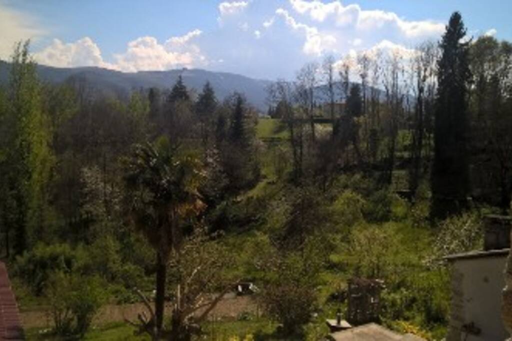 Vue de la fenêtre