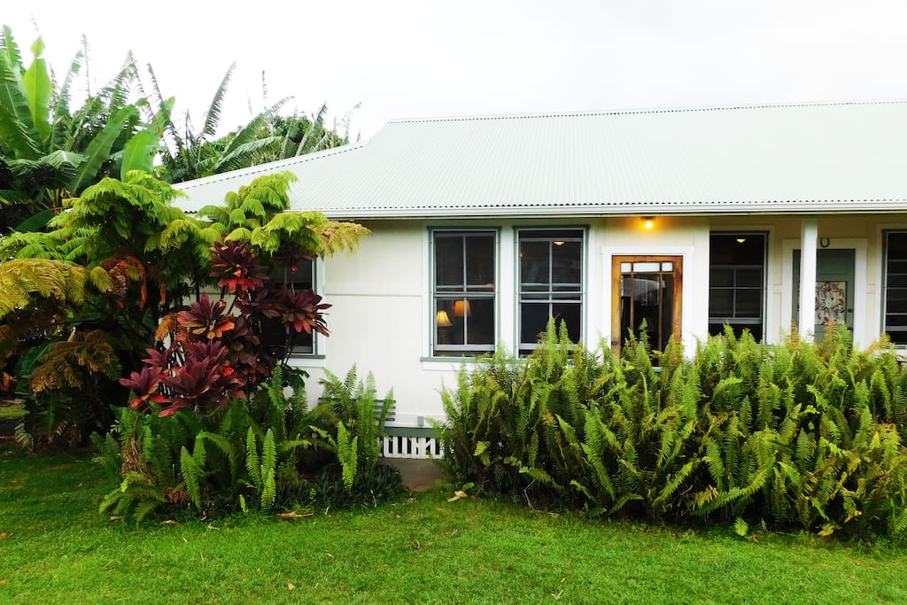 The cottage is surrounded by banana, ferns and other tropical plantings. Photo by William Neal