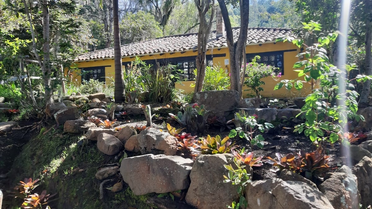 A vibrant garden area features a variety of plants and flowers, complemented by natural stone arrangements. A sunny yellow building with large windows is visible in the background, surrounded by lush greenery and trees creating a serene atmosphere.