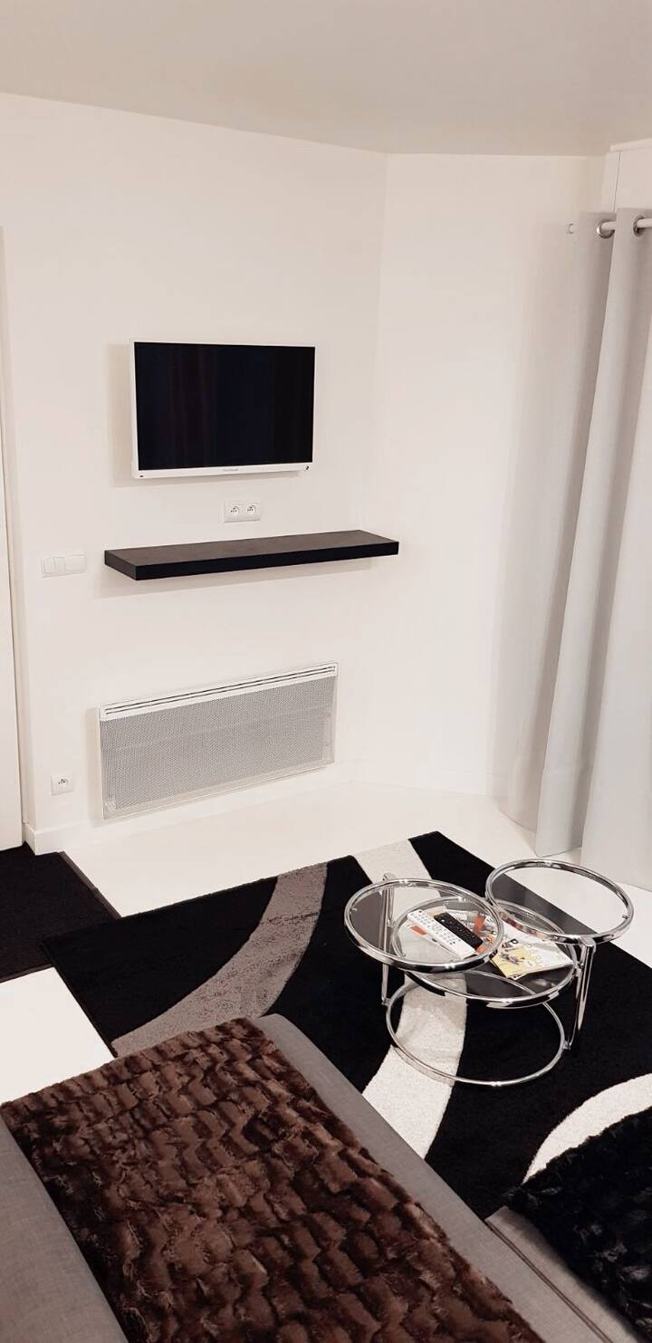 Top 10 Airbnb Vacation Rentals In Viroflay, France Updated 2024 Trip101