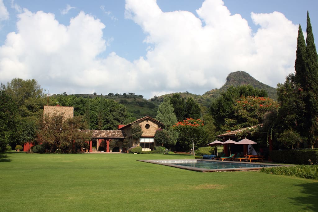 Garden views