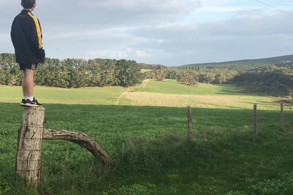 Beautiful view from one aspect of the property
