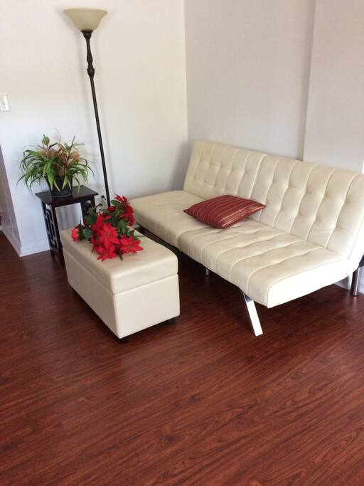 Livingroom (Futon folds out into an extra bed)