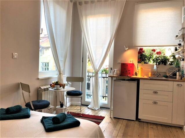 New! Superb quiet studio - the very heart of Sofia