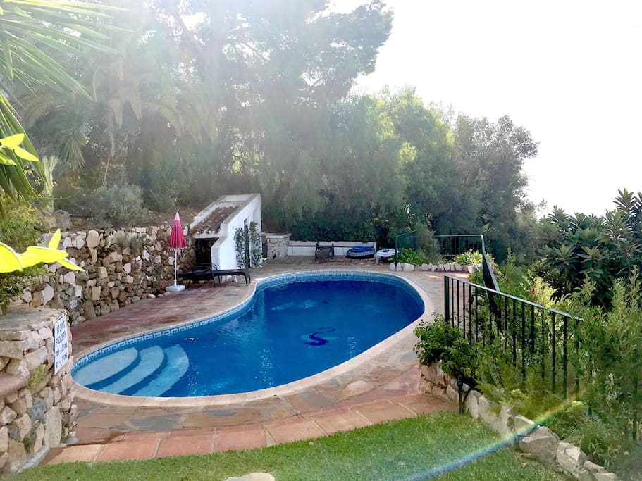 Private garden and pool