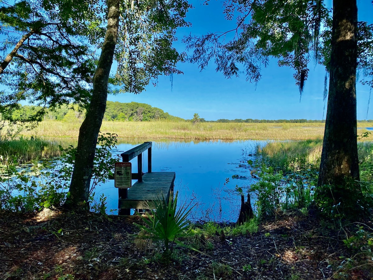 A serene view of a calm lake flanked by lush greenery. A wooden dock extends into the water, surrounded by tall grasses and trees. The sky is clear with few clouds, creating a tranquil atmosphere that invites relaxation.