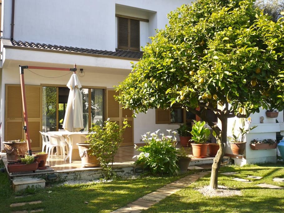 giardino
garden