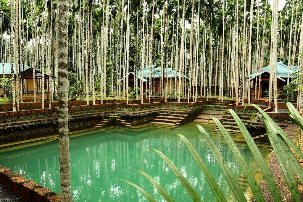 Traditional pool