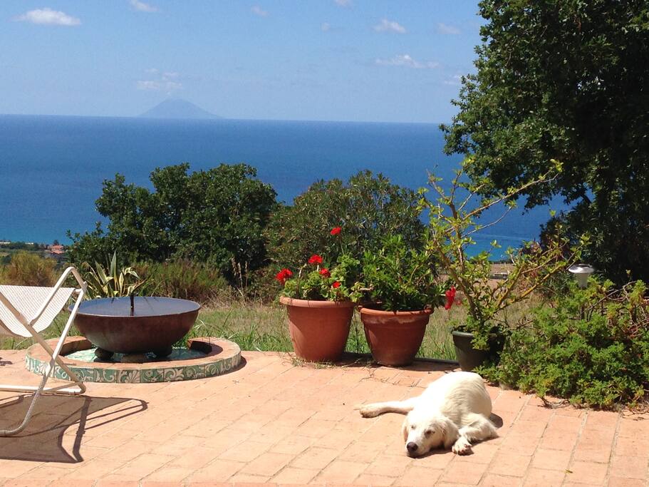 relax on the terrace