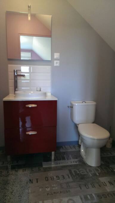 Salle de bain et wc privatifs de la chambre lavande.
