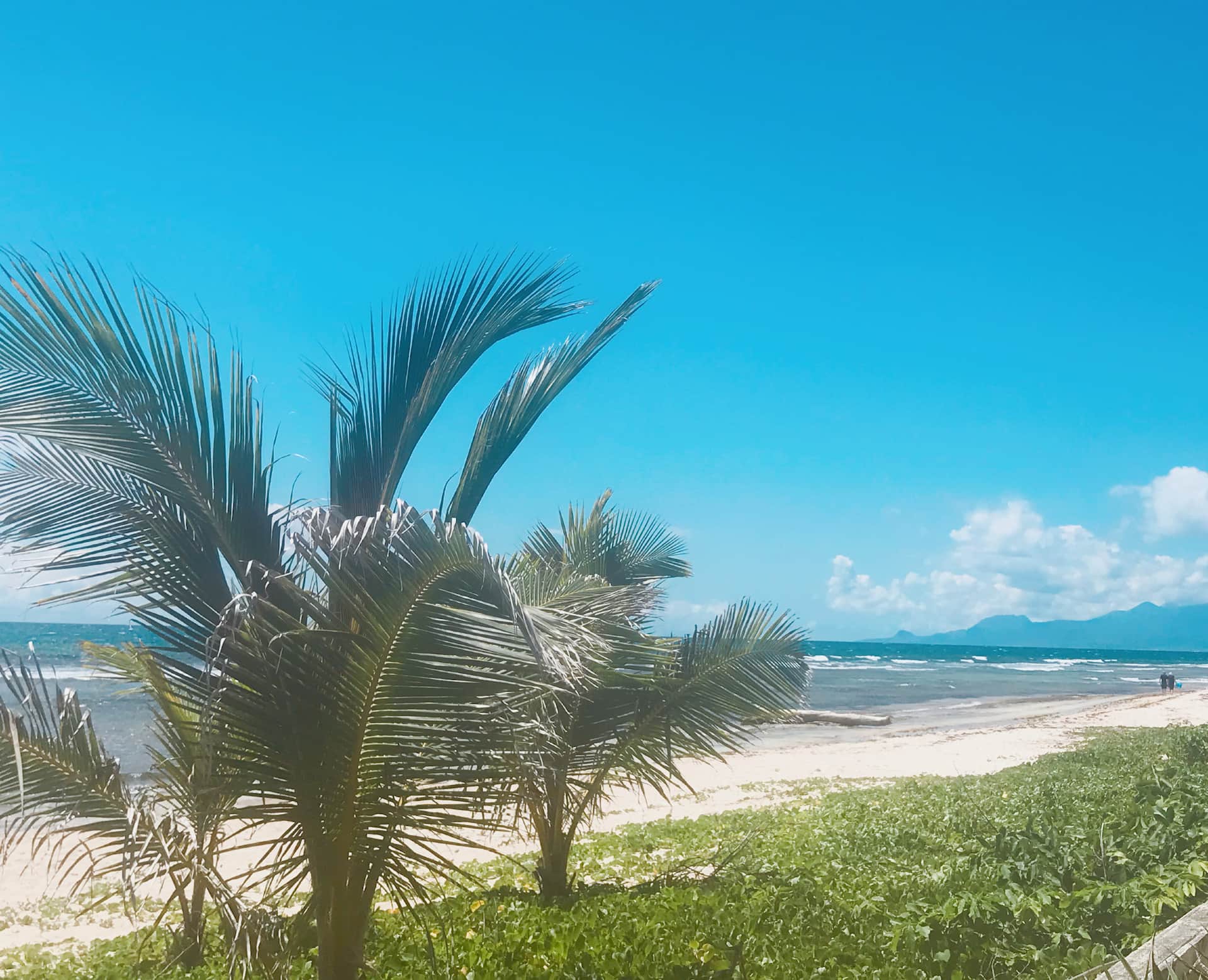Coral white villa, 6 people, feet in the sand