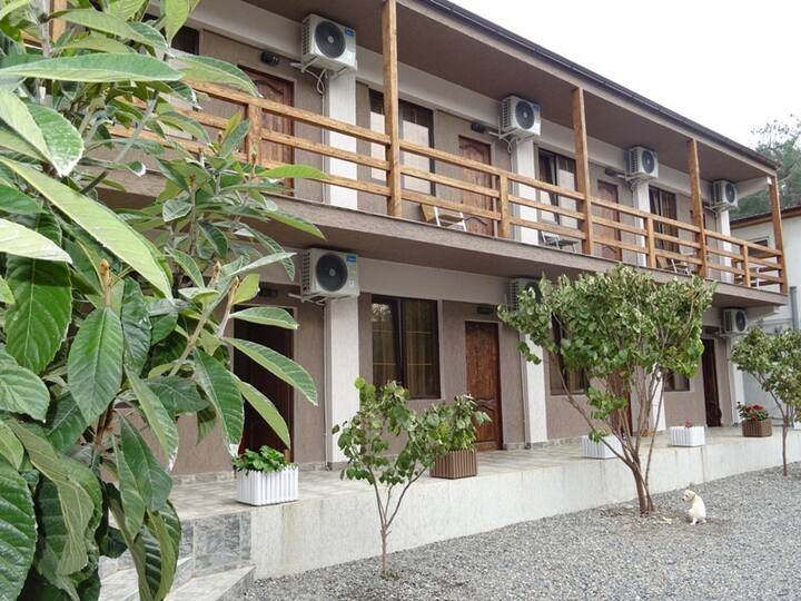 Отель Пицунда (Picunda) 1* (Пицунда) - бронирование номеров 2025, цены на туры с