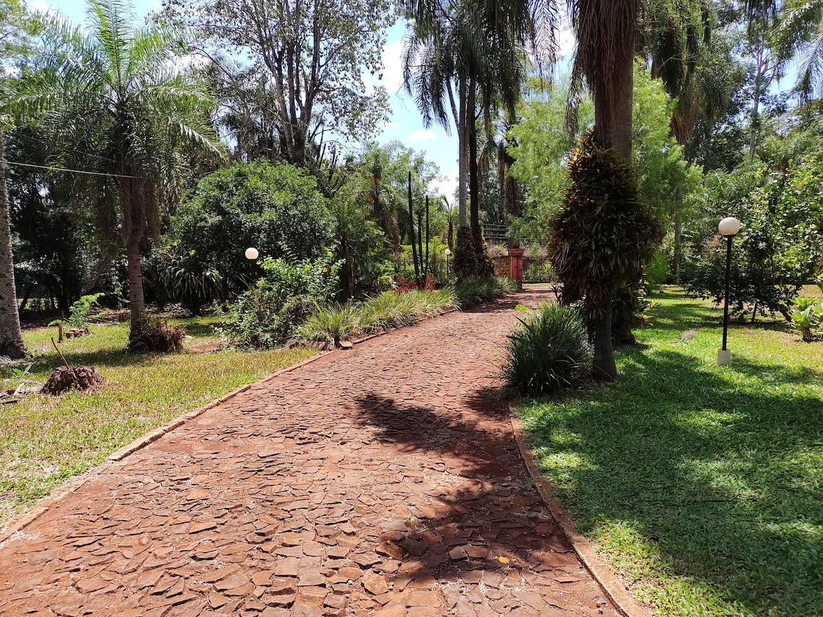 A stone pathway meanders through lush greenery, surrounded by a variety of trees and shrubs. Soft sunlight filters through the leaves, creating dappled light effects on the ground. Lamp posts punctuate the landscape, providing gentle illumination along the serene route.