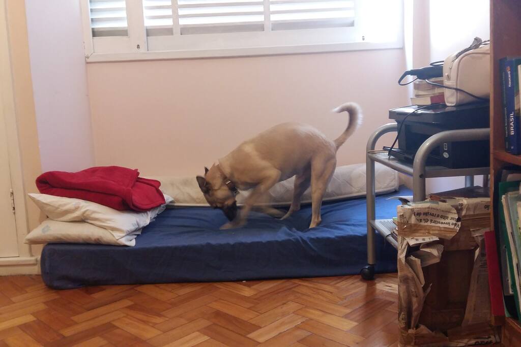 Quarto do Hóspede